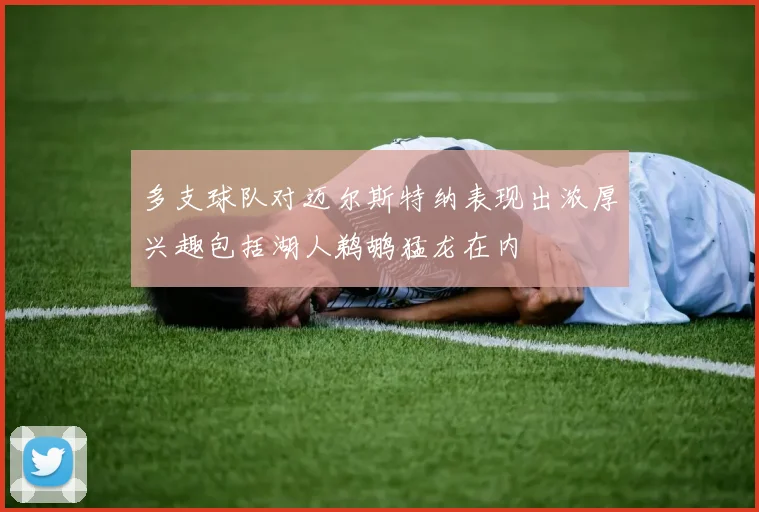 多支球队对迈尔斯特纳表现出浓厚兴趣包括湖人鹈鹕猛龙在内